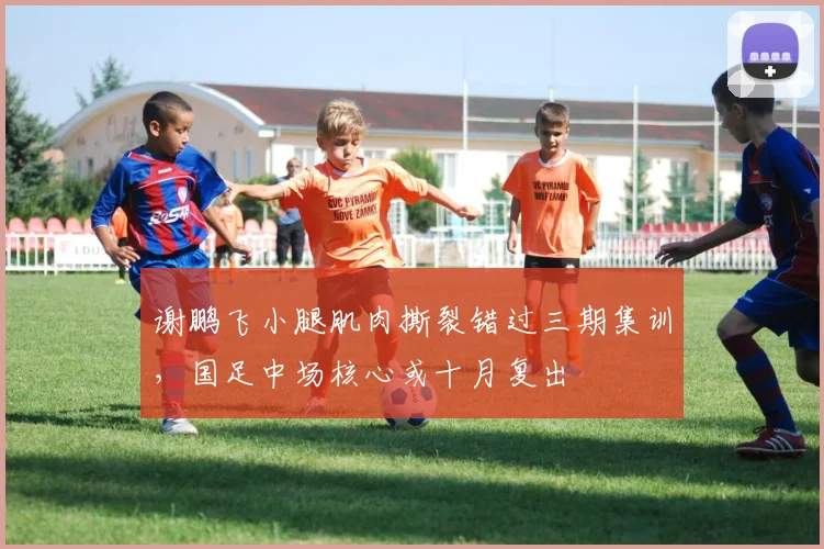 谢鹏飞小腿肌肉撕裂错过三期集训，国足中场核心或十月复出