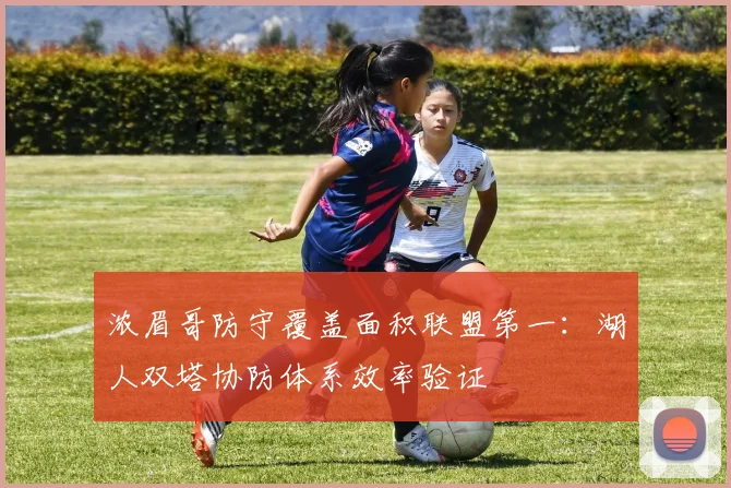 浓眉哥防守覆盖面积联盟第一：湖人双塔协防体系效率验证